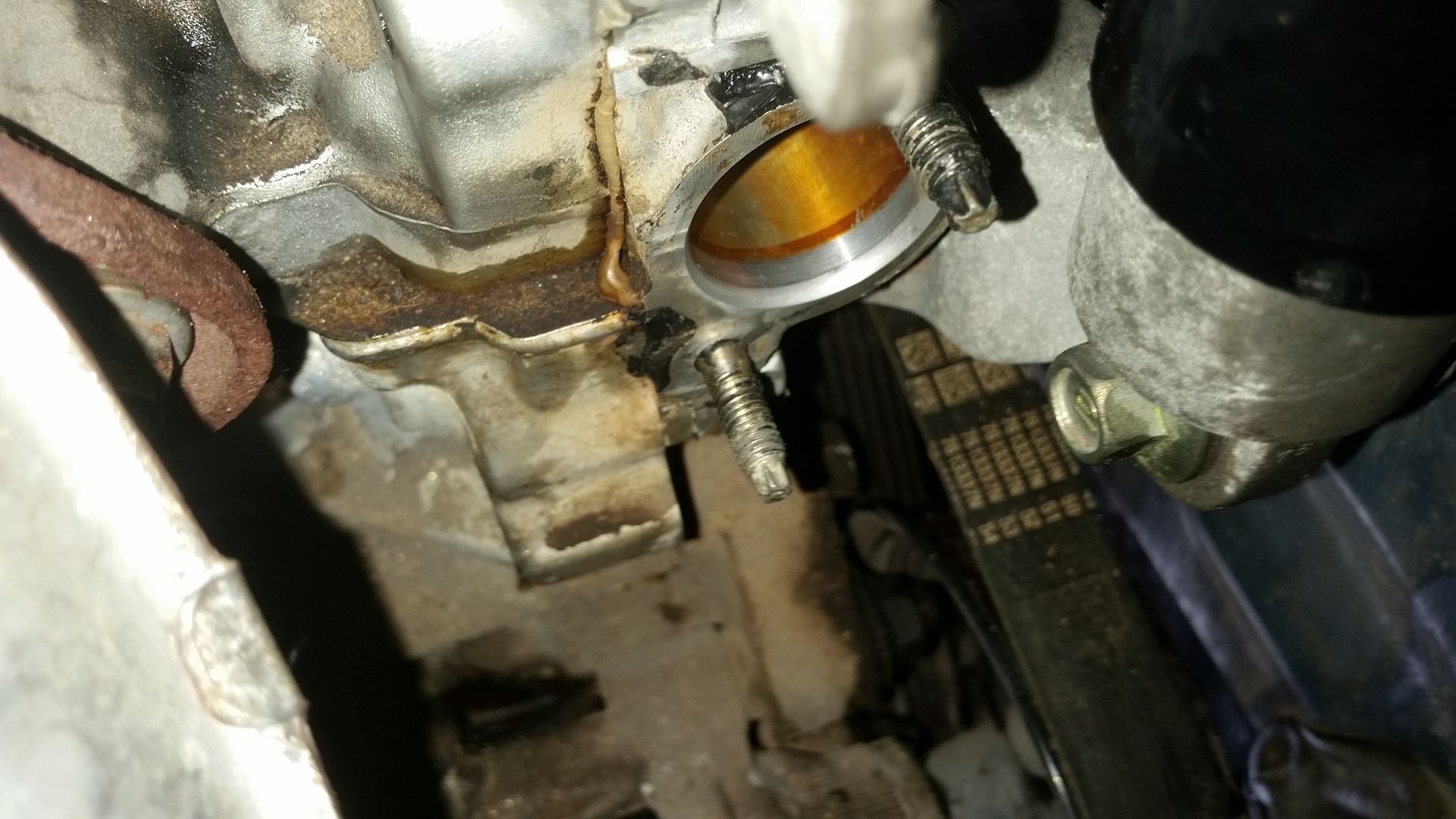 DIY 20032008 Corolla, Matrix, Pontiac Vibe 1ZZFE Timing Chain